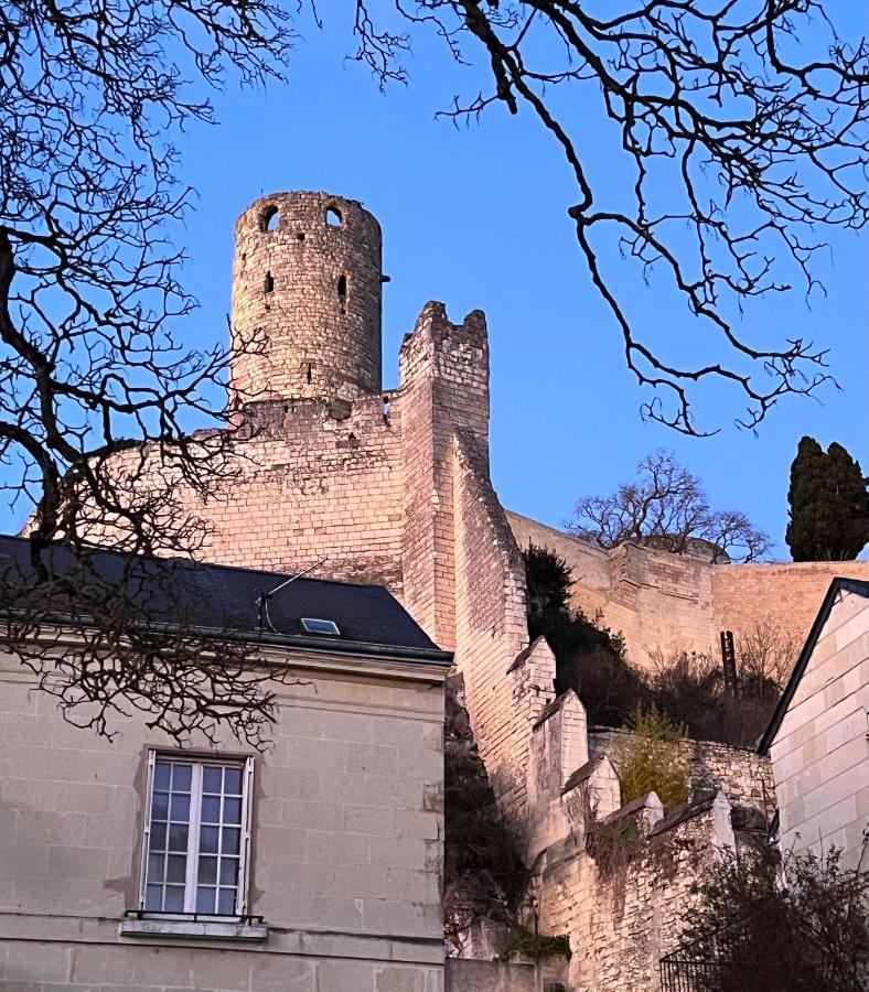 Le Rabelais, Superbe Appartement En Duplex, Proche Forteresse Et Monument Historique Chinon Exteriör bild